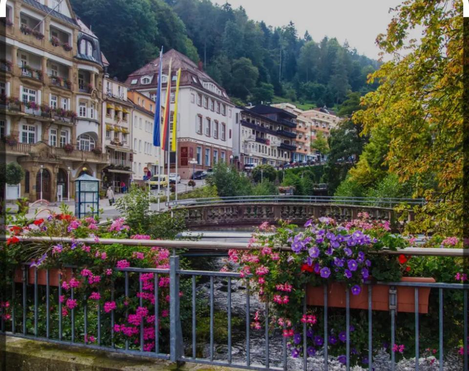 Viva La Wildbad Apartment Bad Wildbad Exterior photo